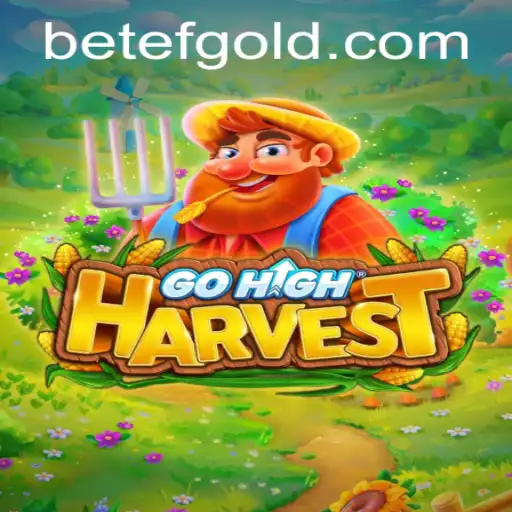 Discovering GoHighHarvest: A New Era of Online Gaming and the Rise of betef PH Login